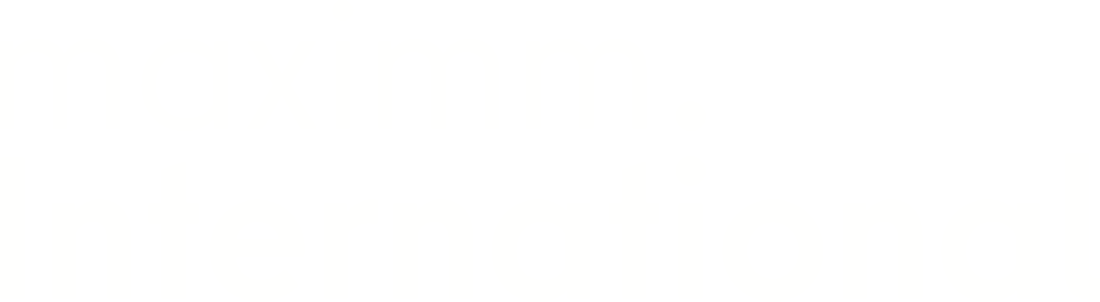 maximm International wordmark